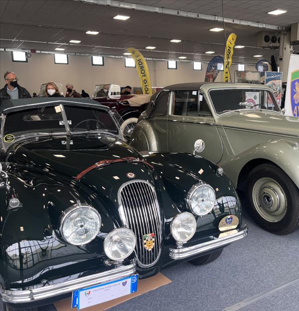 Tutto pronto a Cesena Fiera per la prima edizione di  ‘Car Collector’ dedicato alle auto d’epoca